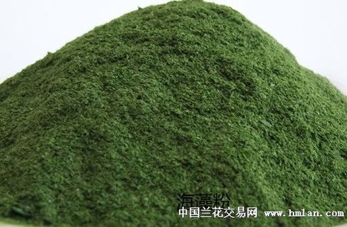 兰花专用有机肥的制作与使用指南